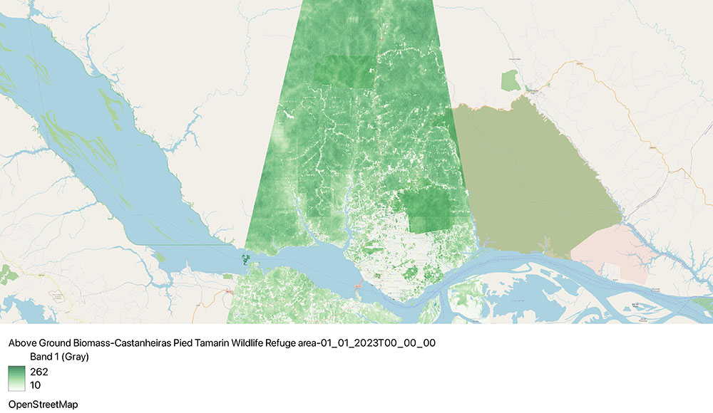 A satellite map showcasing above-ground biomass estimation for sustainability efforts.